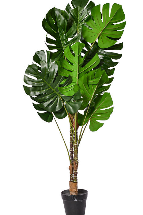 43" Monstera Leaf Tree In Pot Green