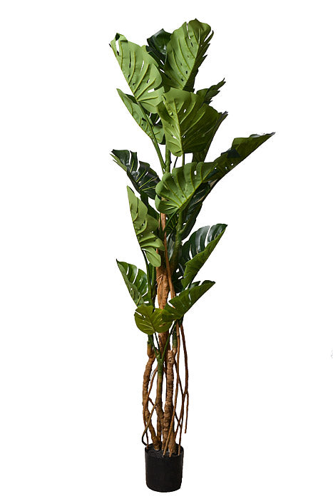82" Monstera Leaf Tree In Pot Green