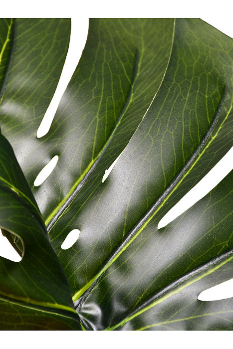 82" Monstera Leaf Tree In Pot Green