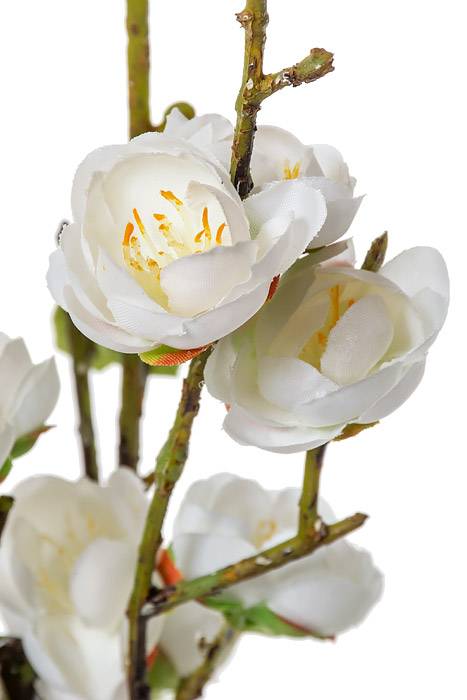 20" Silk Plum Blossom Pick White