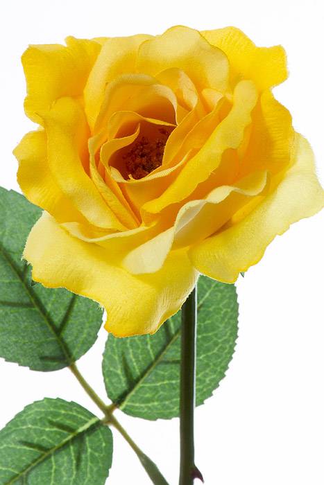 22.5" Silk Medium Rose Spray Yellow