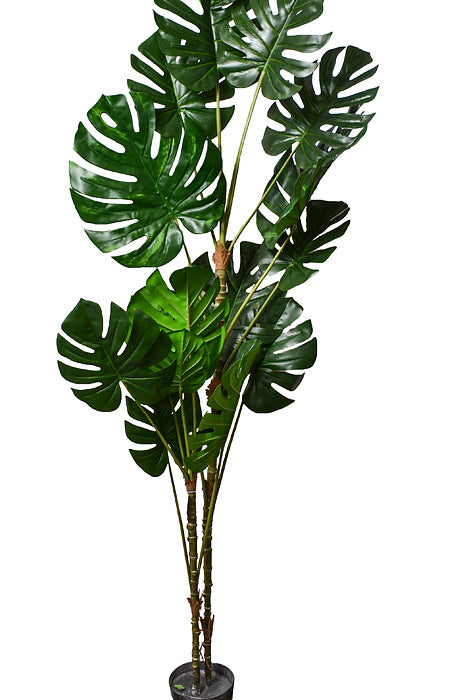 70" Monstera Leaf Tree In Pot Green