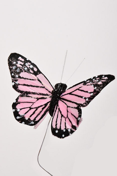 3" Butterfly Pink Box/12
