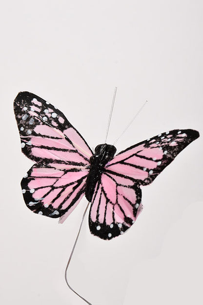 3" Butterfly Pink Box/12
