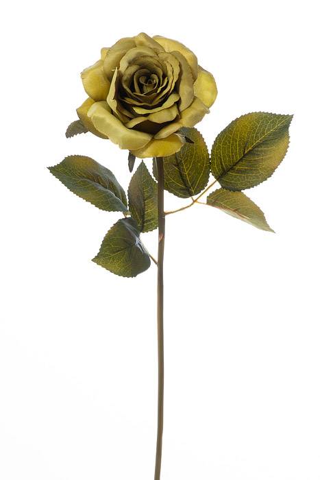 20" Rose Stem W/leaves Green