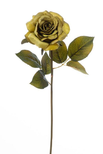 20" Rose Stem W/leaves Green