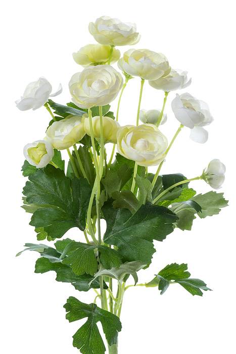 13&quot; Silk Mini Ranunculus Bush Cream