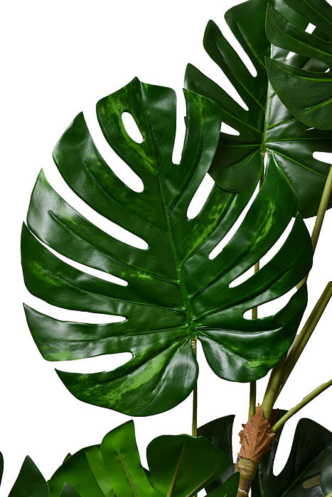 70" Monstera Leaf Tree In Pot Green