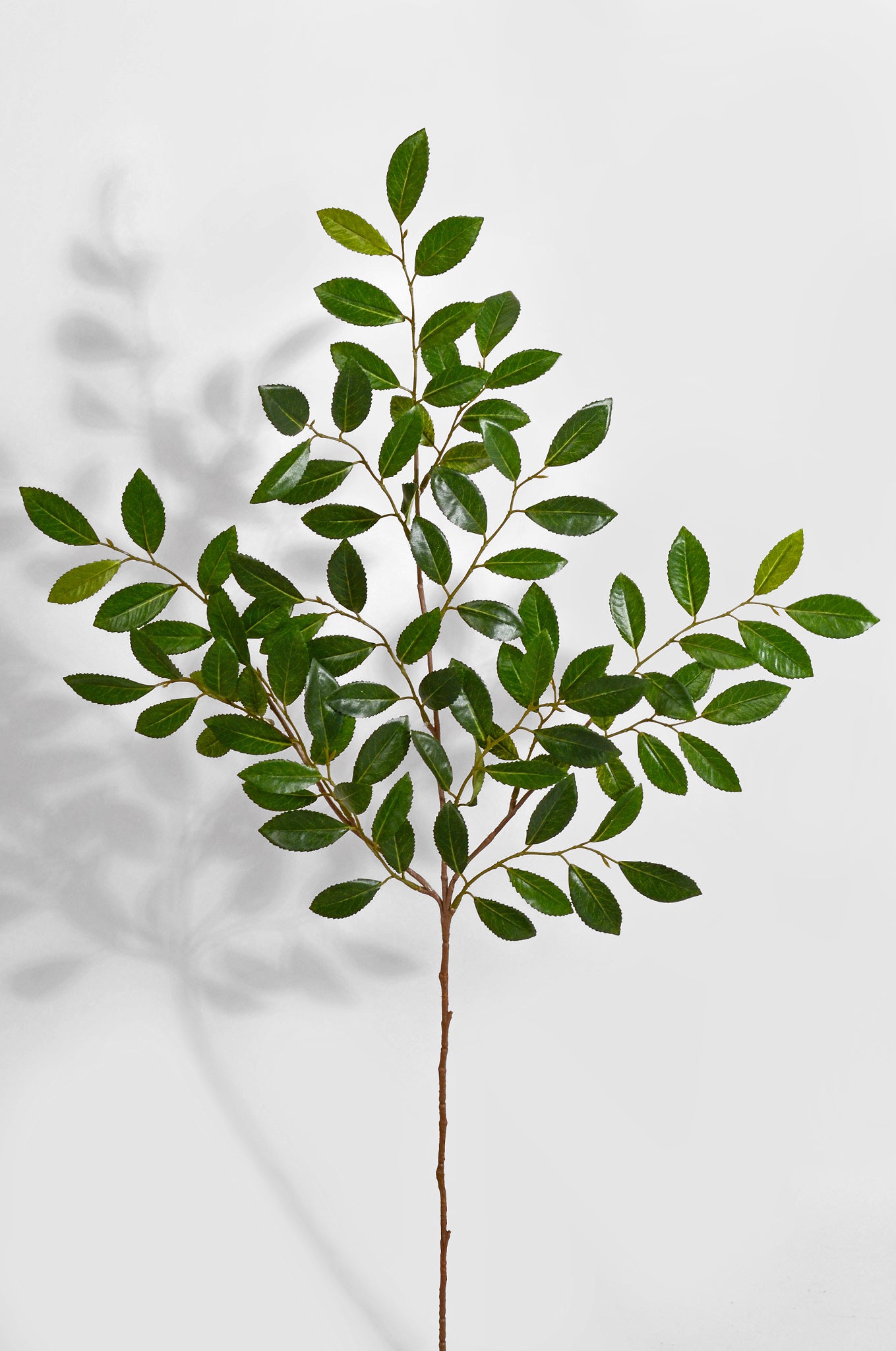 26" Artificial New Ruscus Spray Green