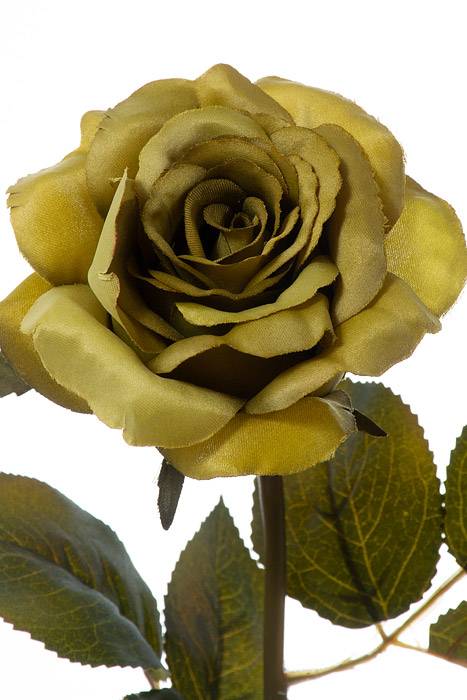 20" Rose Stem W/leaves Green