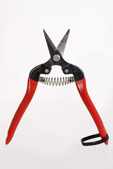 6.75" Short nose Pruner Rounded Tip Red/Black