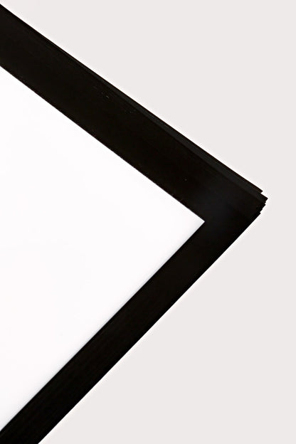 22.5" Flower Wrapping Paper W/Edge White/Black Pkg/20