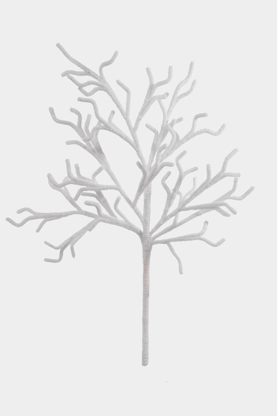 33.5" Twig Curly Stem White