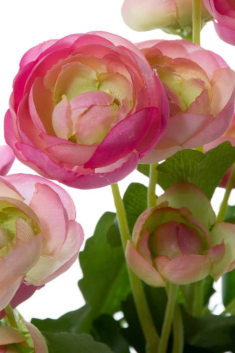 13" Silk Mini Ranunculus Pink