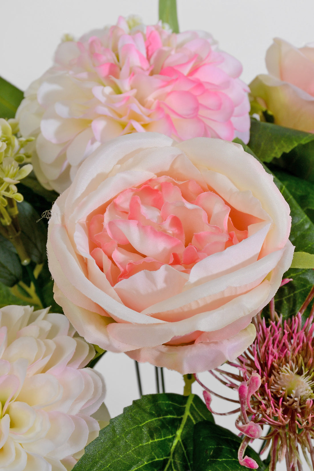 20" Silk Rose Dahlia Bush Pink