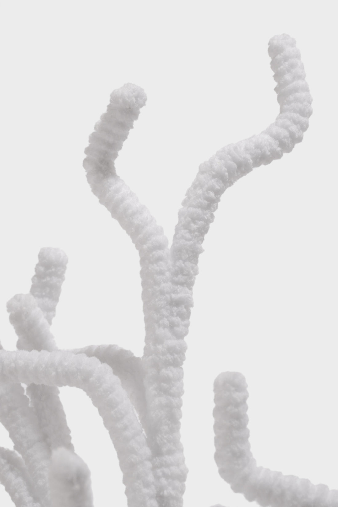 33.5" Twig Curly Stem White