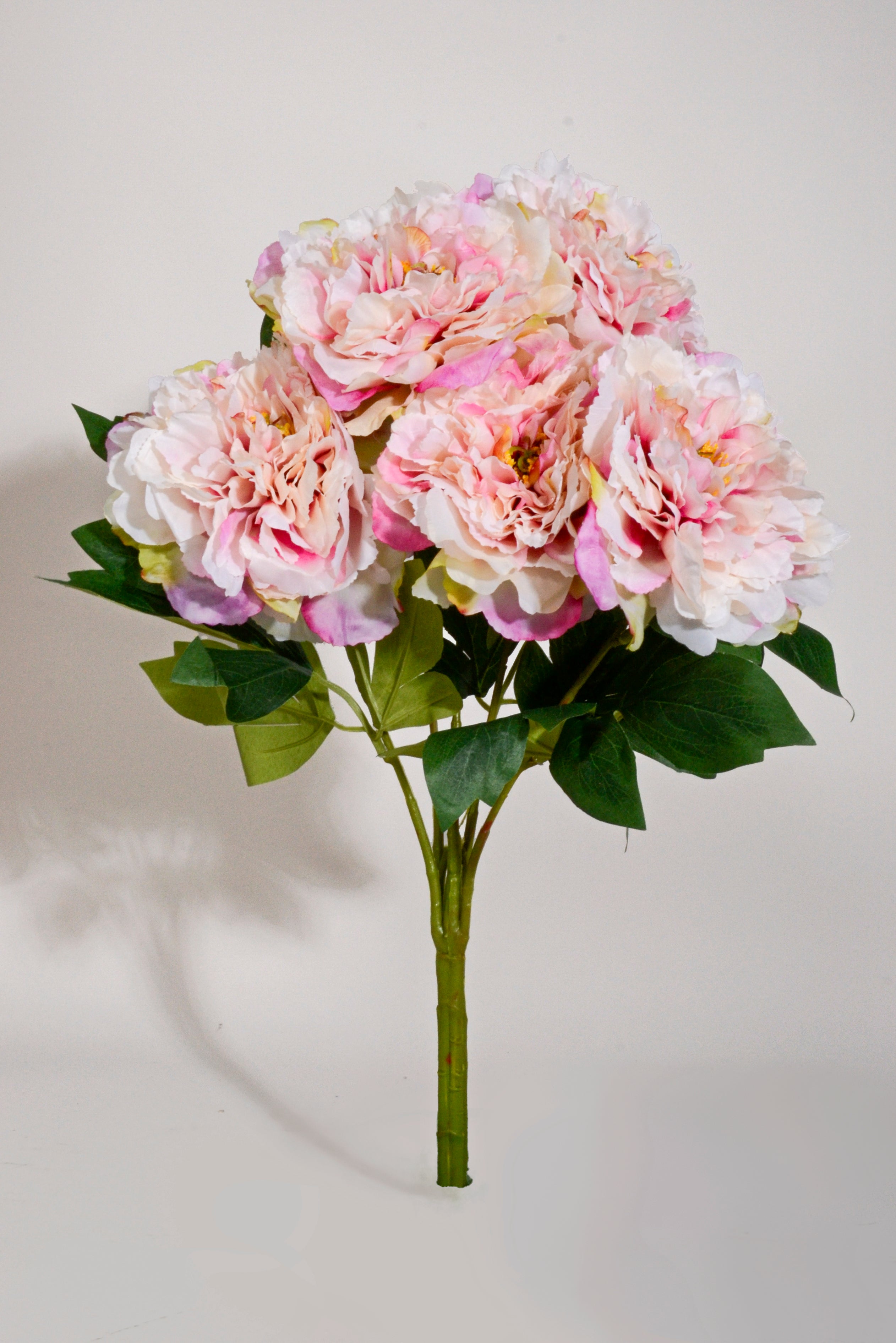 21.5" Silk Peony Bush Cream Pink