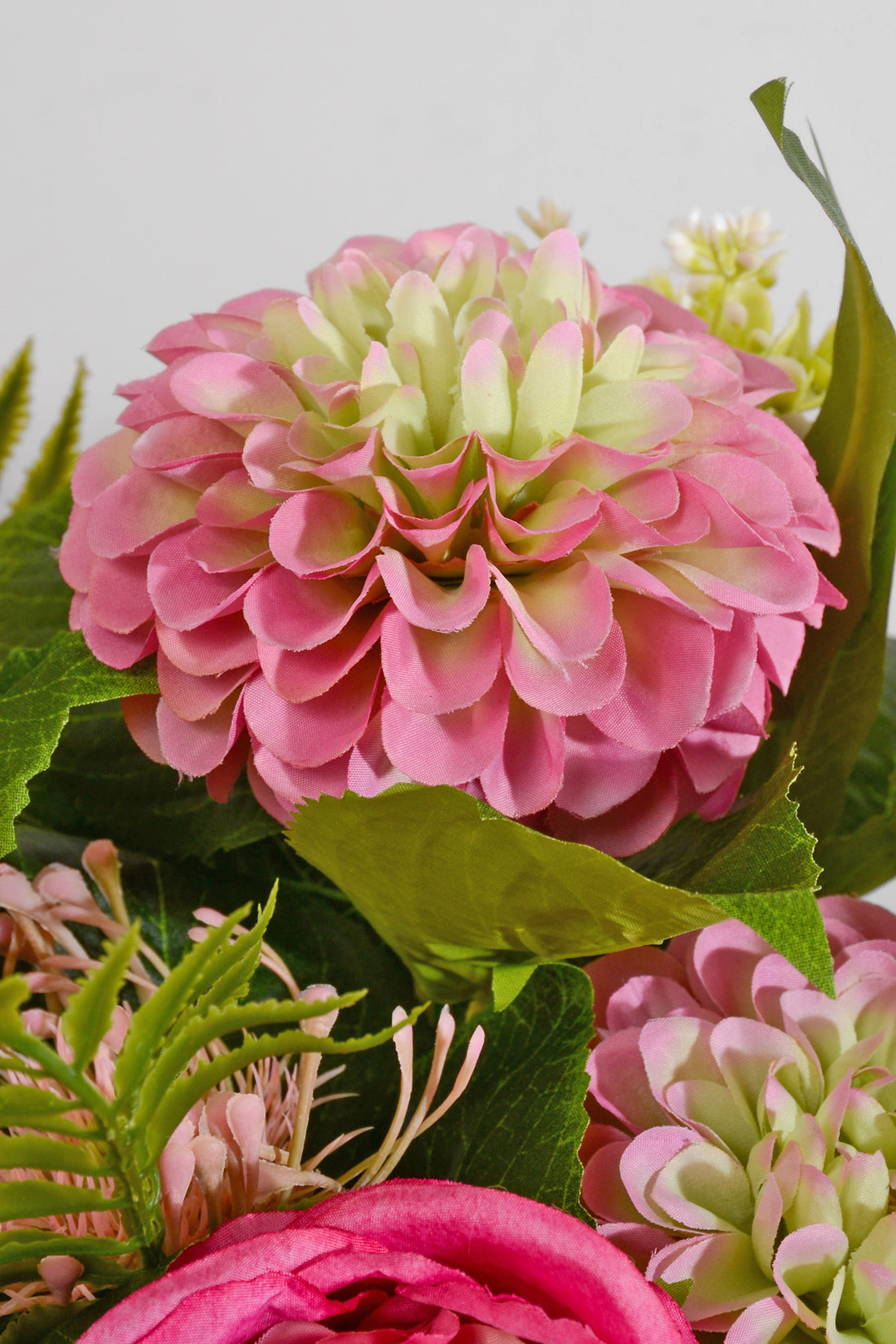 20" Silk Rose Dahlia Bush Fuchsia