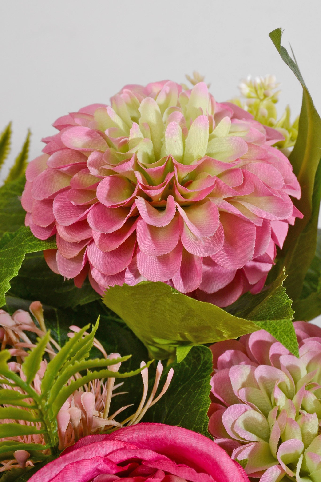 20" Silk Rose Dahlia Bush Fuchsia