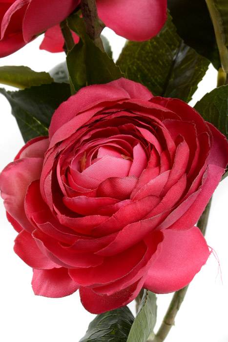 29.5" Silk Camellia Spray Beauty