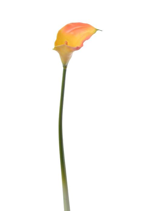 28" Large Calla Lily Orange