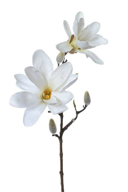 24" Silk Magnolia Spray Cream