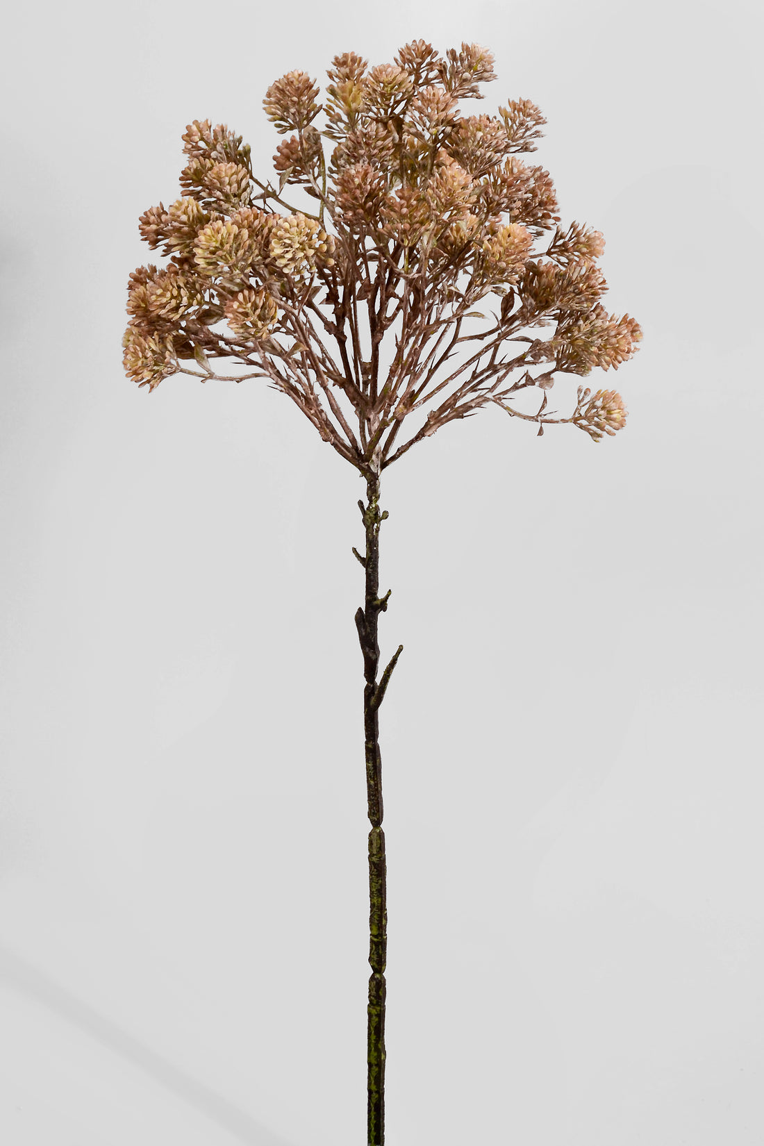 20.5" Artificial Sedum Spray Brown/White