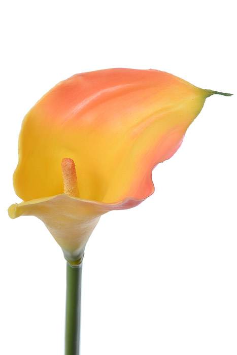 28" Large Calla Lily Orange