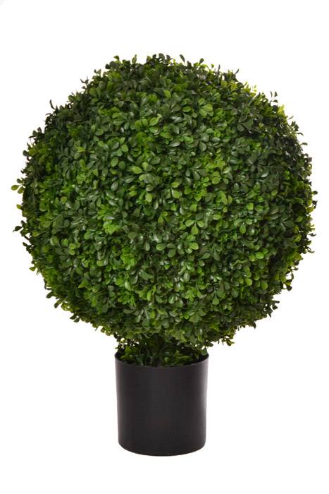 30" Boxwood Topiary w/Pot Green