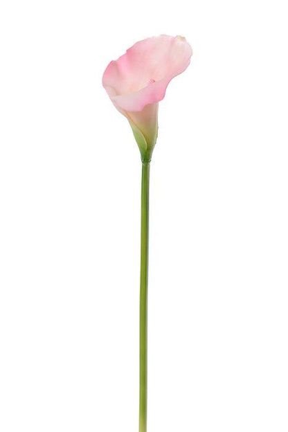 21" Calla Lily Stem Pink