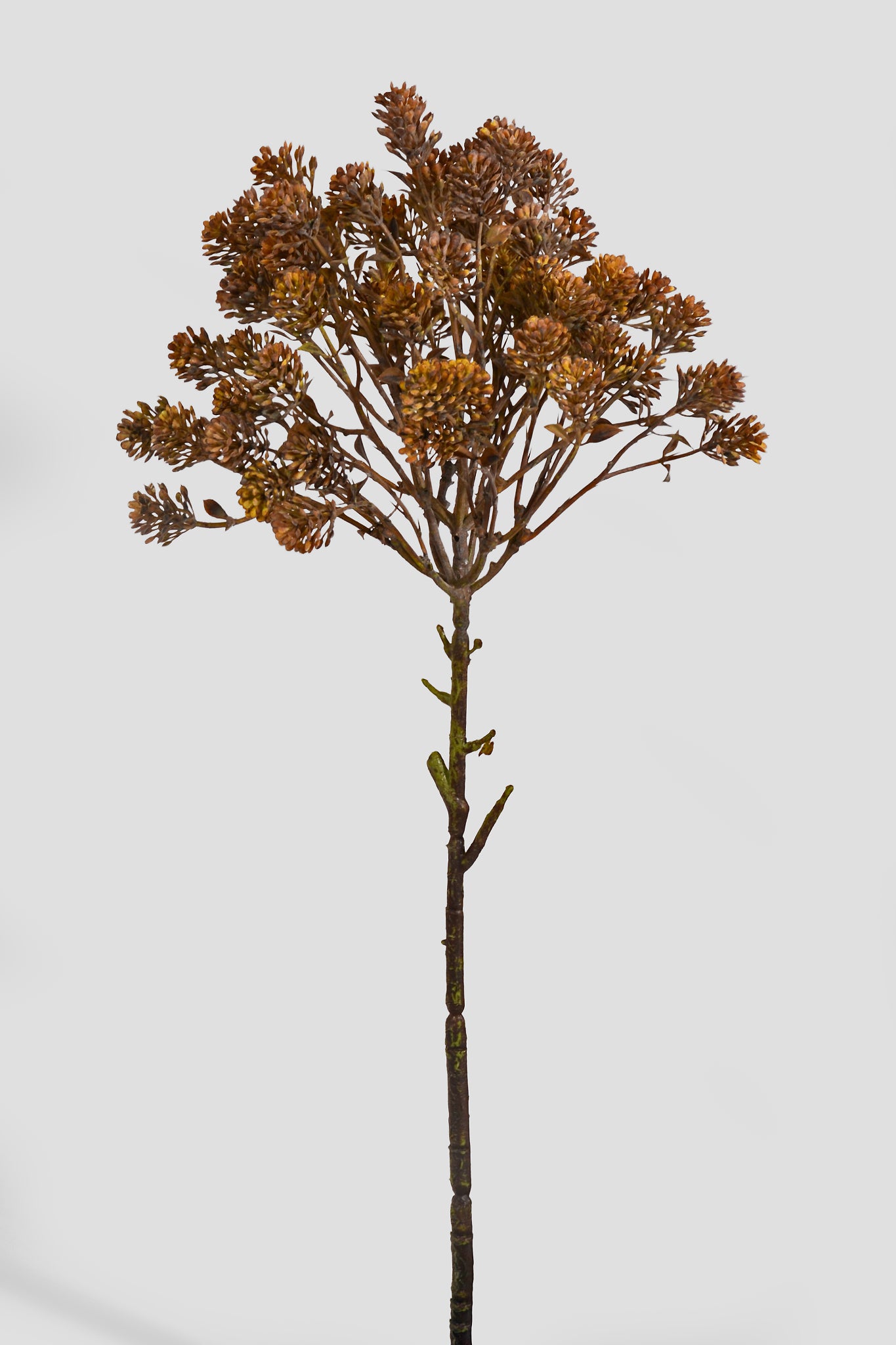 20.5" Artificial Sedum Spray Brown