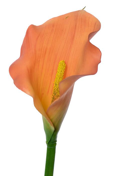 21" Calla Lily Stem Orange