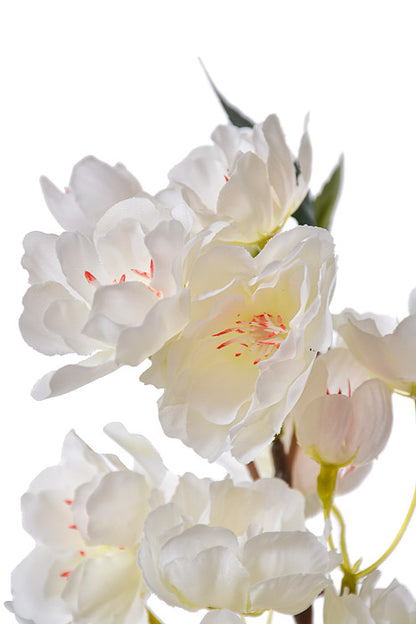 35.5" Silk Cherry Blossom Spray White