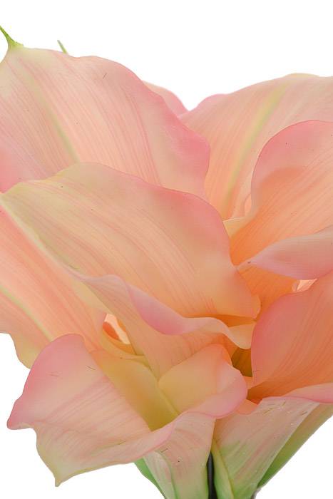 11" Silk Calla Lily Soft Pink Bundle/12