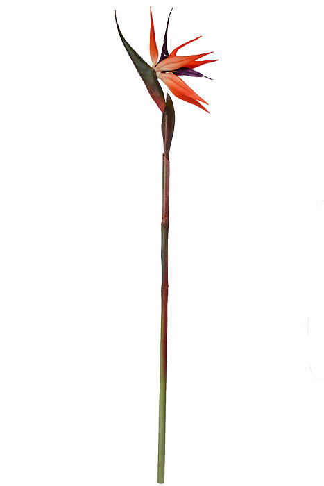 33" Bird Of Paradise Spray Orange