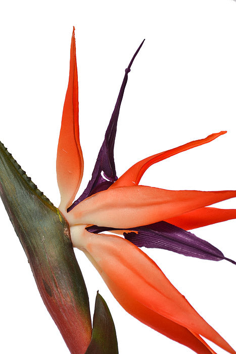 33" Bird Of Paradise Spray Orange
