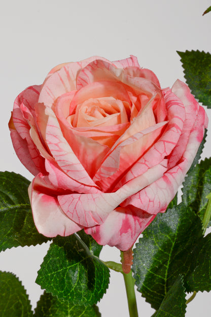24.5" Silk Rose Spray Pink