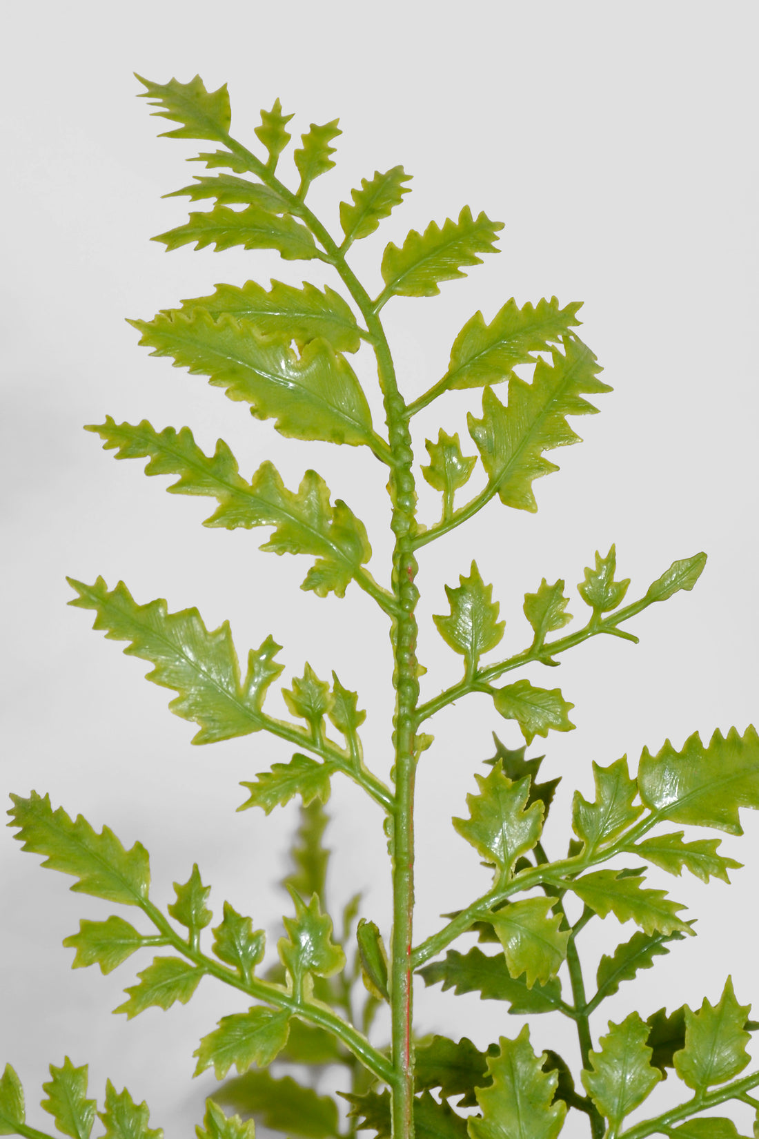 30" Real Touch Plastic Fern Pot Green