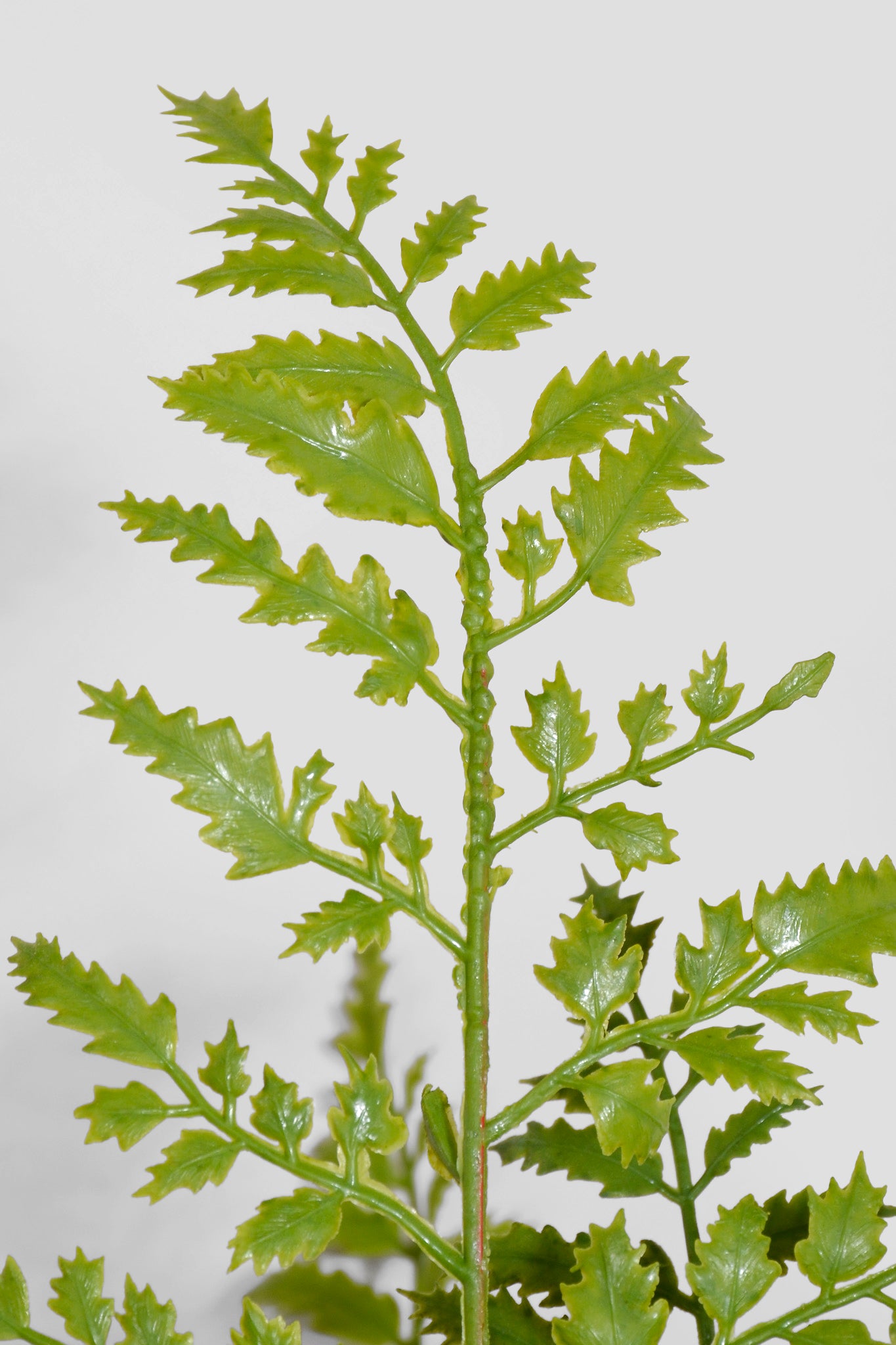 30" Real Touch Plastic Fern Pot Green