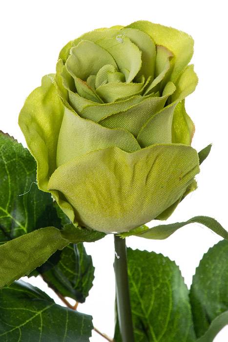 20" French Rose Bud Stem Green