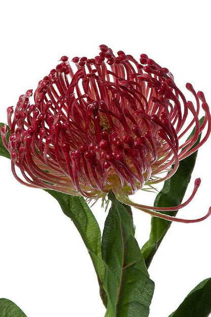 26" Artificial Open Needle Protea Coral
