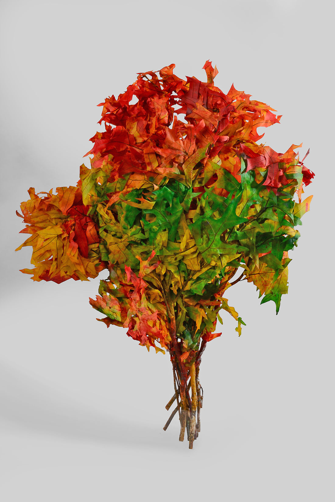 Transparent Oak Leaves Harvestone Pkg/1lb