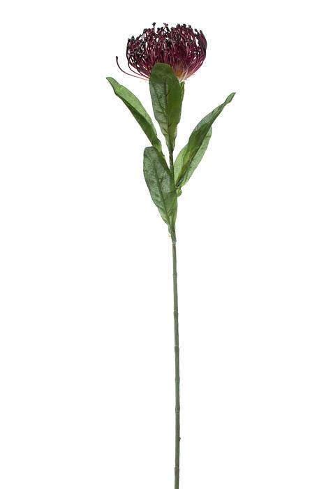 26" Open Needle Protea Burgundy