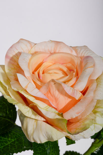 24.5" Silk Rose Spray Peach