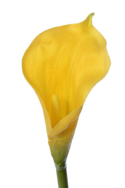 26" Calla Lily Stem Yellow