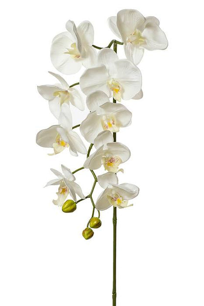40" Silk Phalaenopsis Spray White