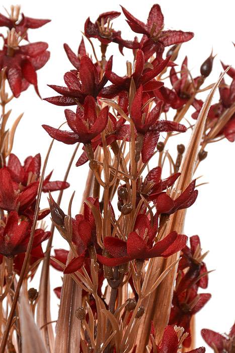 17" Tweedia Bush Burgundy