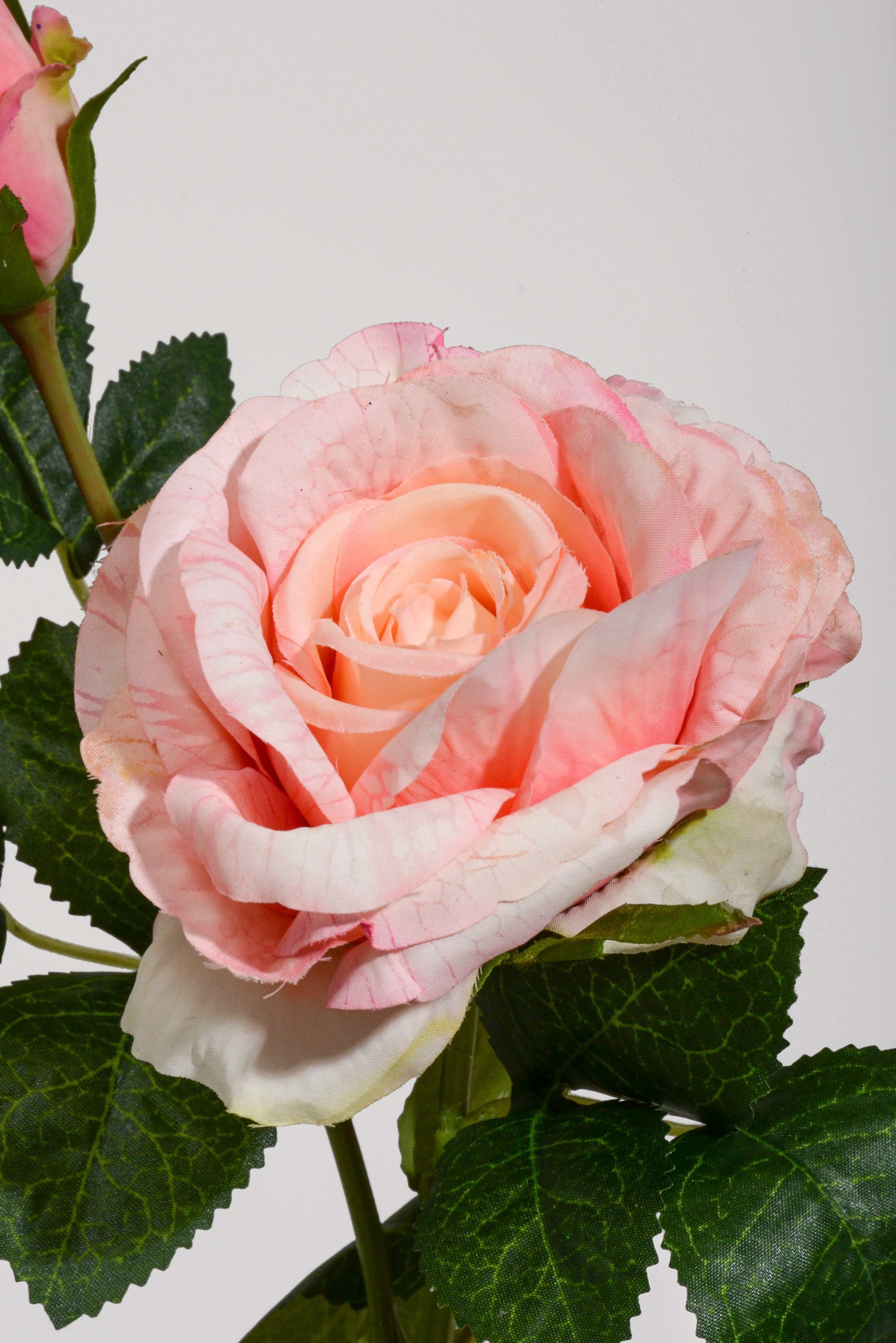 24.5" Silk Rose Spray Coral