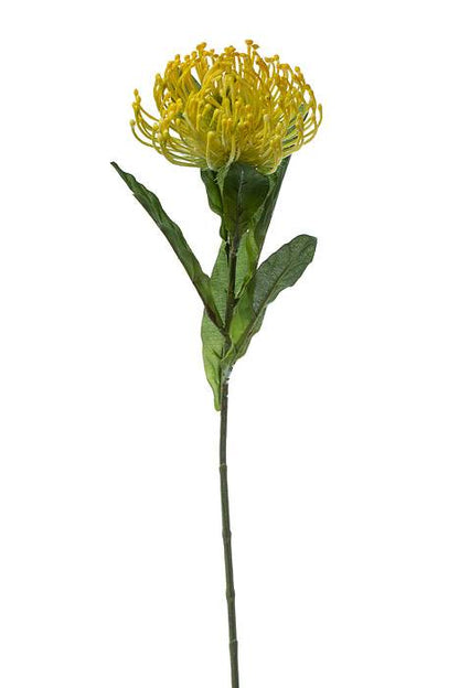 26" Open Needle Protea Yellow