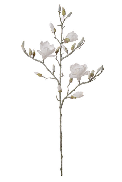 40" Glittered Magnolia Spray White